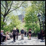 A little bit of New York greenery-7